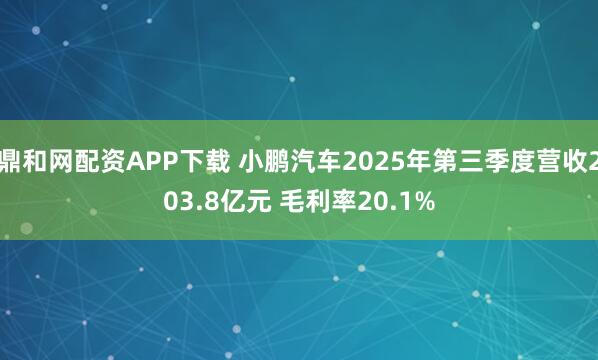鼎和网配资APP下载 小鹏汽车2025年第三季度营收203.8亿元 毛利率20.1%