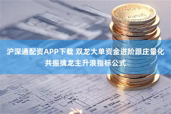 沪深通配资APP下载 双龙大单资金进阶跟庄量化共振擒龙主升浪指标公式